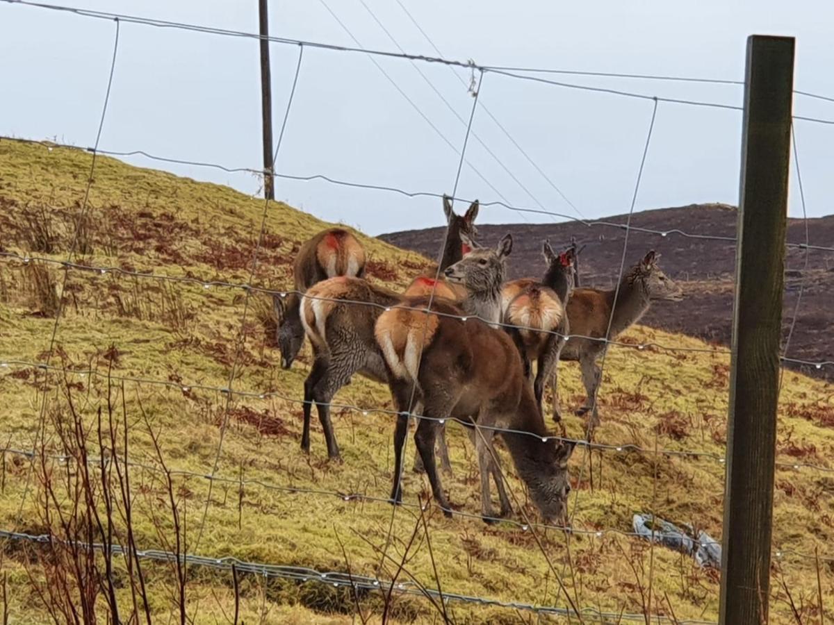 Stags View Holiday Home بورتري المظهر الخارجي الصورة